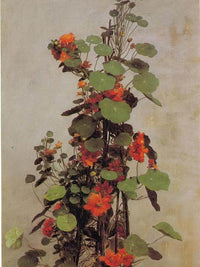 Nasturtiums By Jean Fantin Latour Fine Art Print