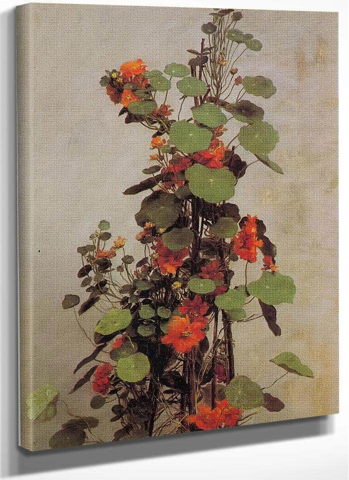 Nasturtiums By Jean Fantin Latour Fine Art Print