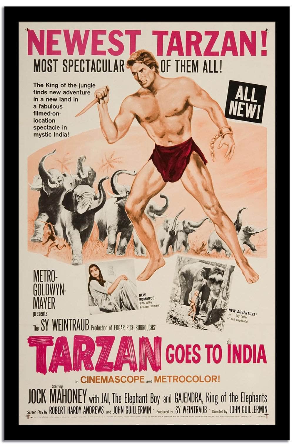 Newest Tarzal  Vintage Poster Fine Art Print
