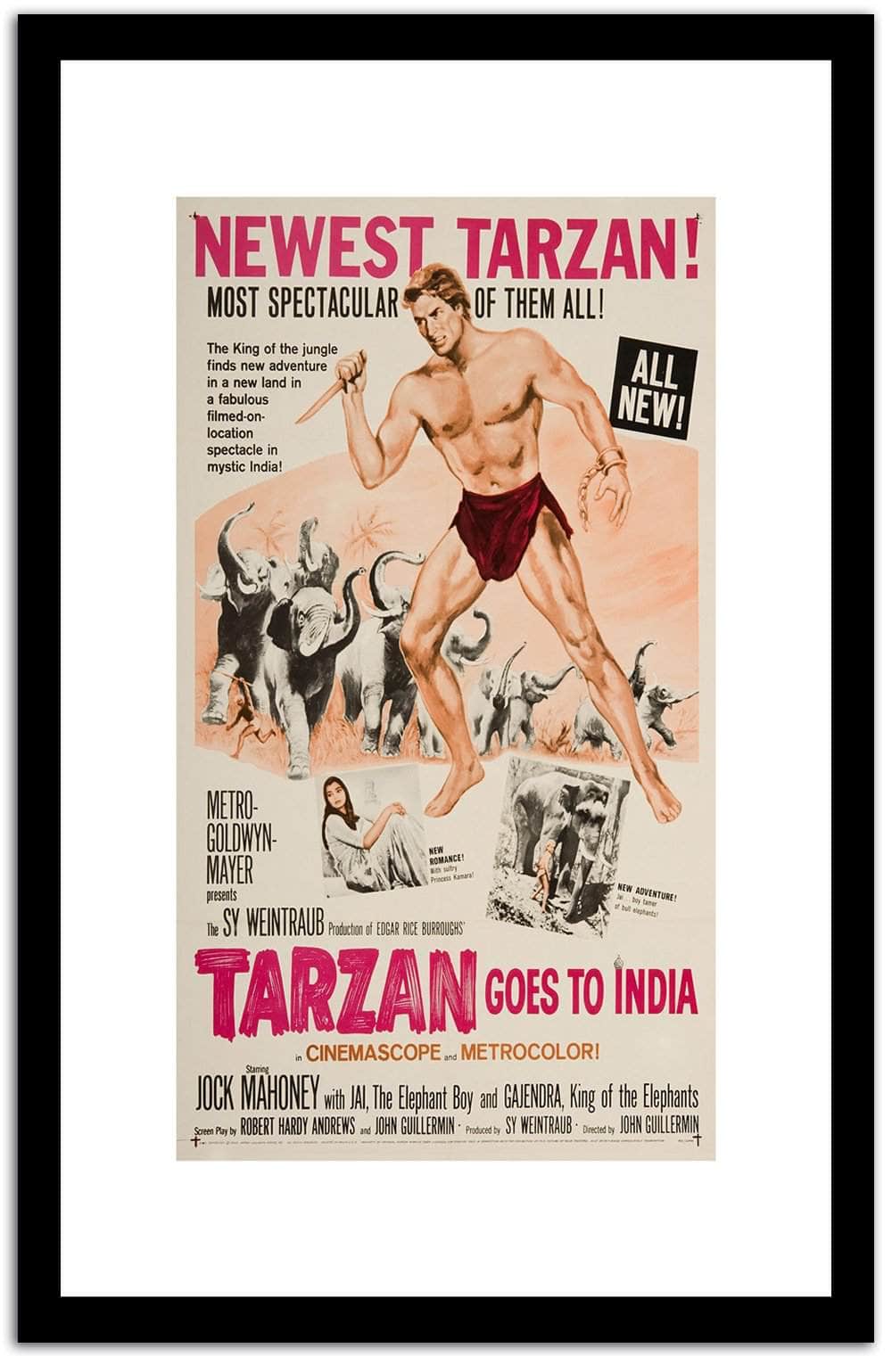 Newest Tarzal  Vintage Poster Fine Art Print