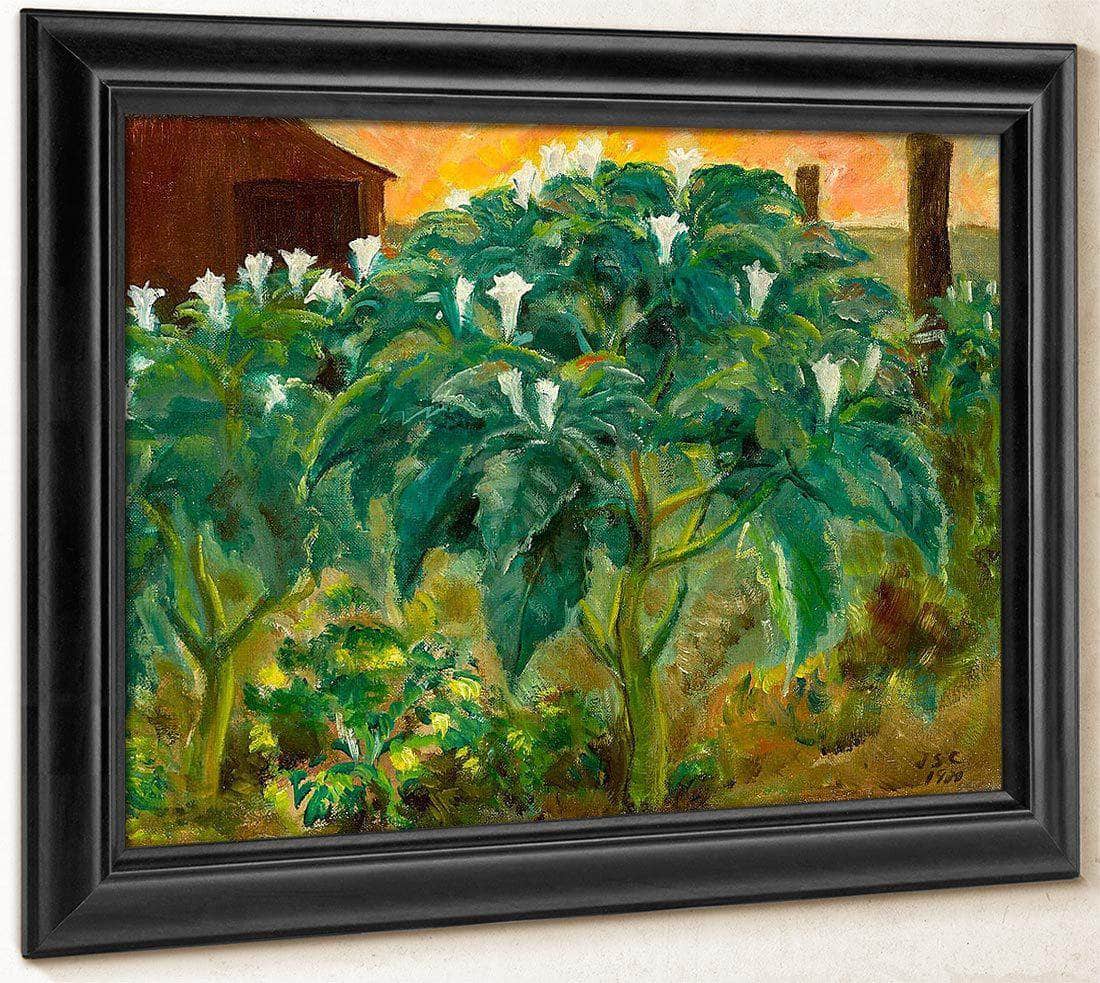 Night Flower By John Steuart Curry Fine Art Print