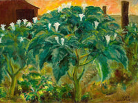 Night Flower By John Steuart Curry Fine Art Print