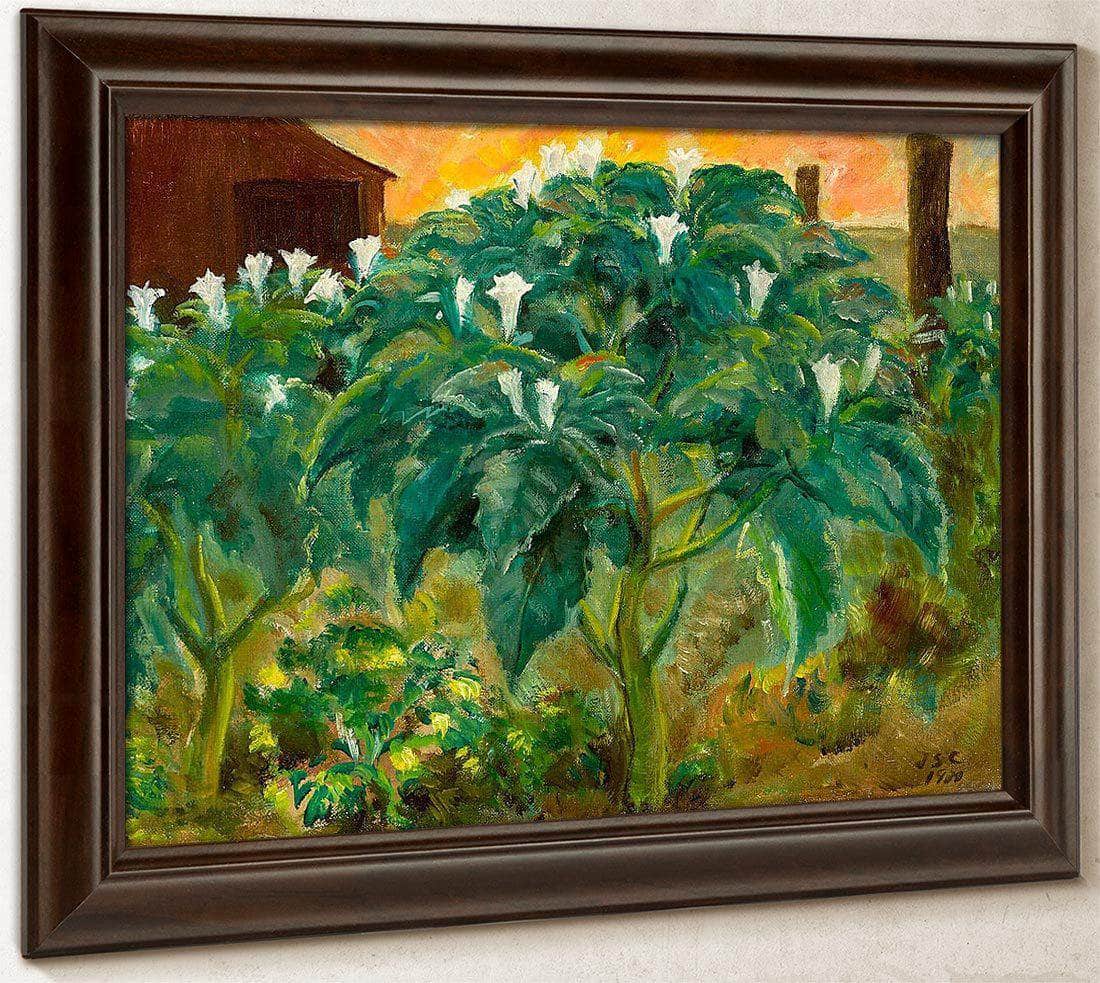 Night Flower By John Steuart Curry Fine Art Print