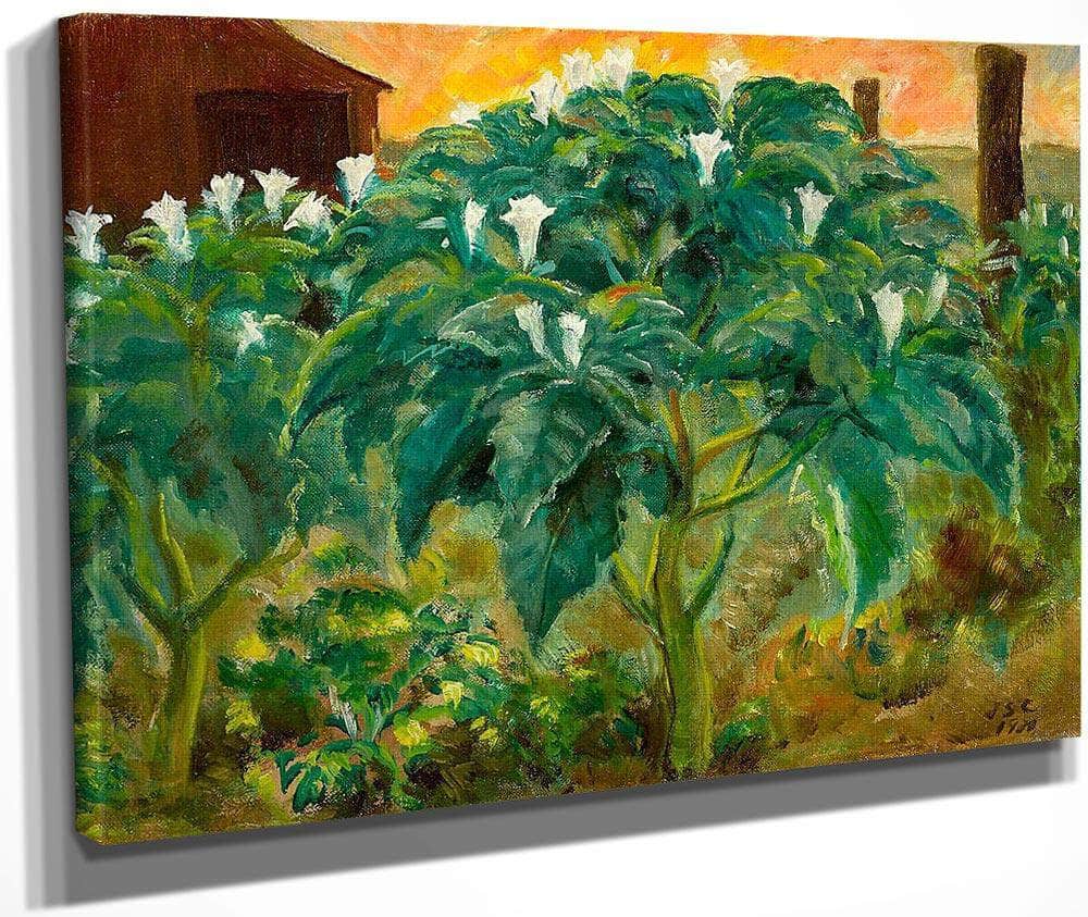 Night Flower By John Steuart Curry Fine Art Print