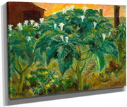 Night Flower By John Steuart Curry Fine Art Print