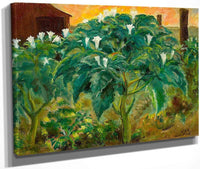 Night Flower By John Steuart Curry Fine Art Print