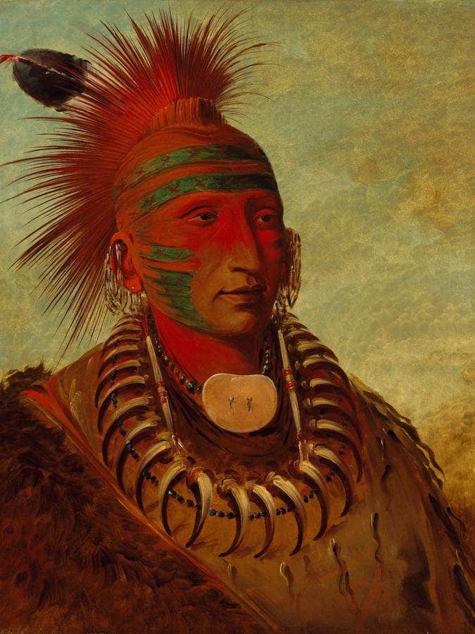No Ho Mun Ya, One Who Gives No Attention' By George Catlin Fine Art Print