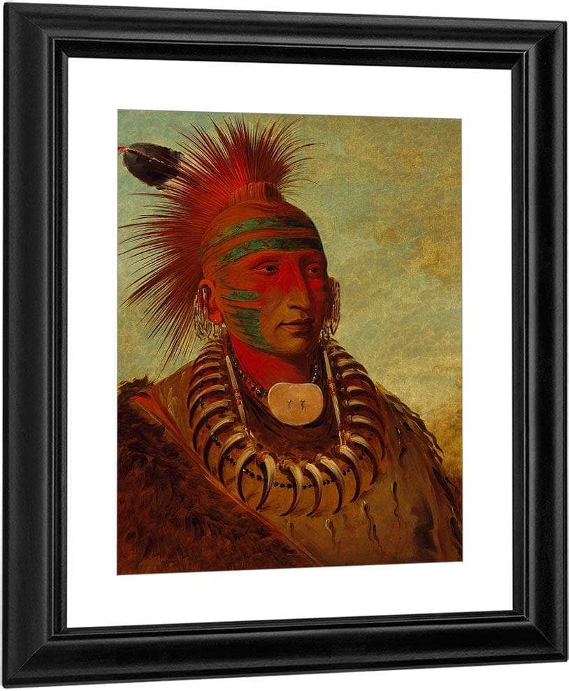 No Ho Mun Ya, One Who Gives No Attention' By George Catlin Fine Art Print