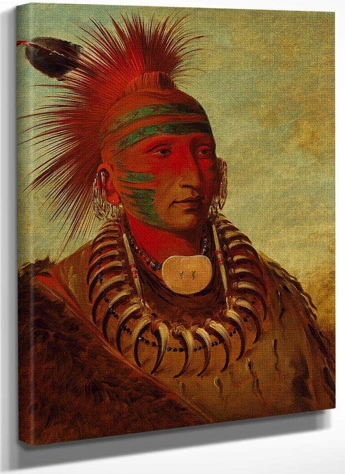 No Ho Mun Ya, One Who Gives No Attention' By George Catlin Fine Art Print