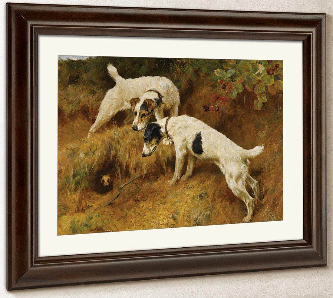 No One Home By Arthur Wardle Fine Art Print