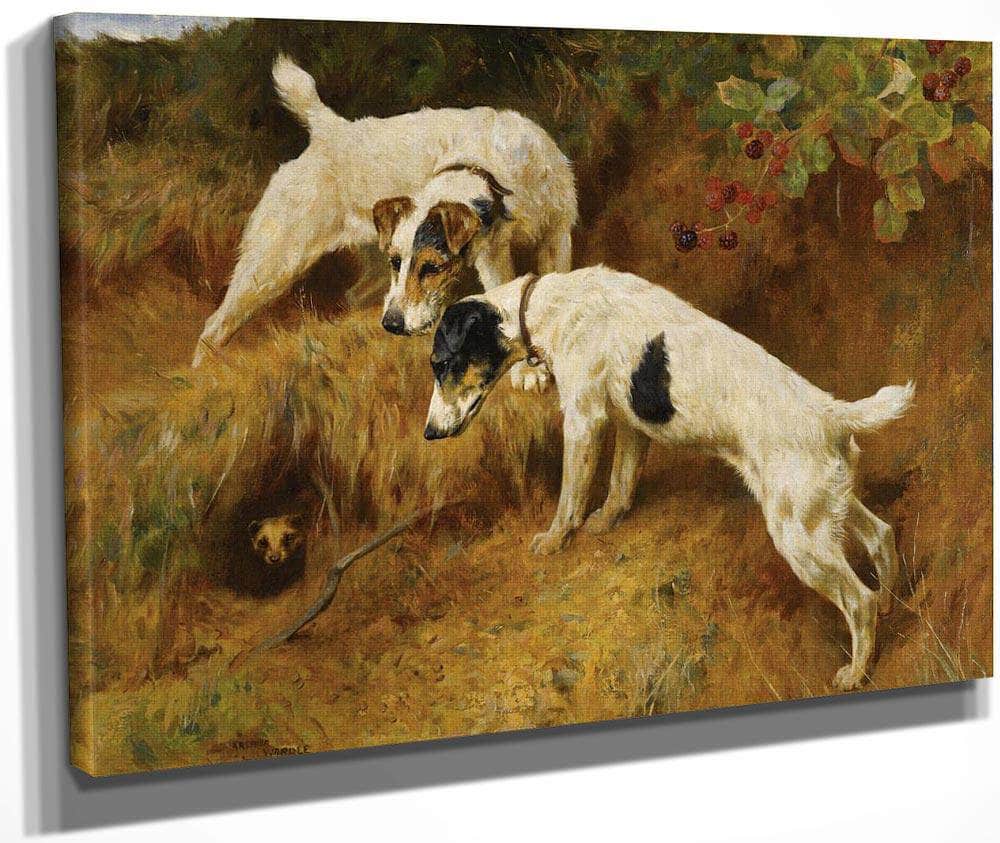 No One Home By Arthur Wardle Fine Art Print