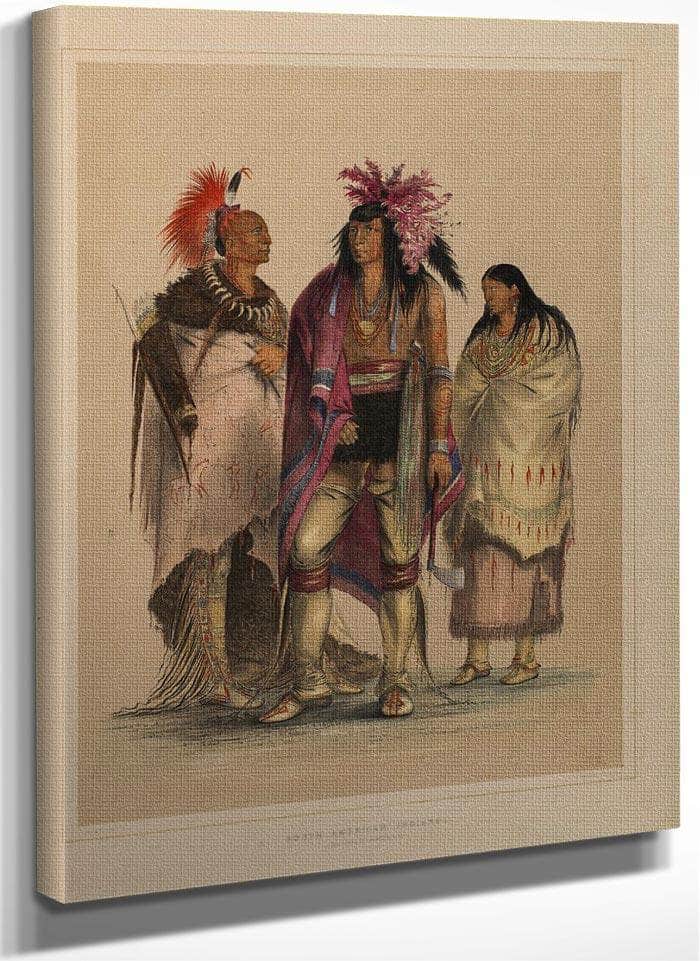 North American Indian Portfolio By George Catlin Fine Art Print