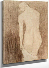 Nude Woman Seen From Behind By Odilon Redon Fine Art Print
