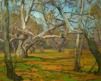 Oaks And Sycamores By William Wendt Fine Art Print