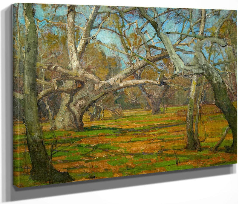 Oaks And Sycamores By William Wendt Fine Art Print