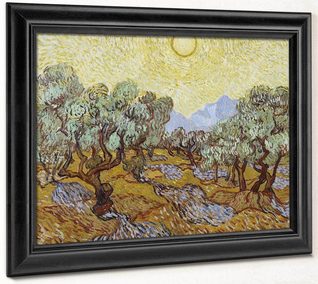 Olive Trees By Vincent Van Gogh Fine Art Print