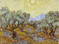 Olive Trees By Vincent Van Gogh Fine Art Print