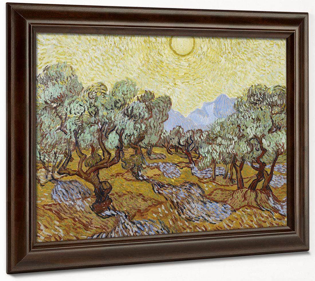 Olive Trees By Vincent Van Gogh Fine Art Print