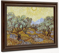 Olive Trees By Vincent Van Gogh Fine Art Print