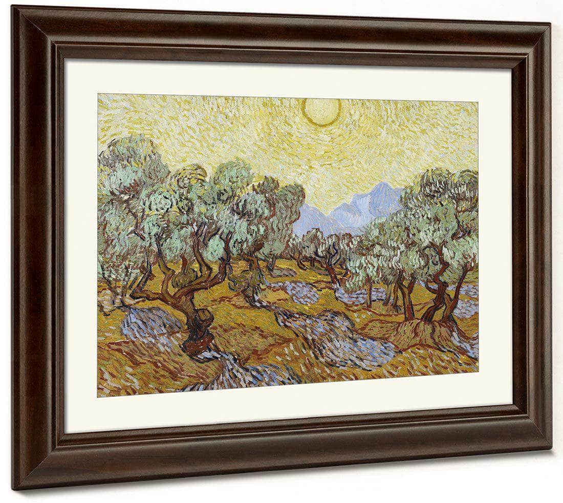 Olive Trees By Vincent Van Gogh Fine Art Print