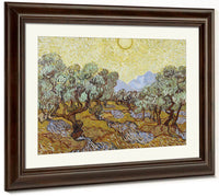Olive Trees By Vincent Van Gogh Fine Art Print