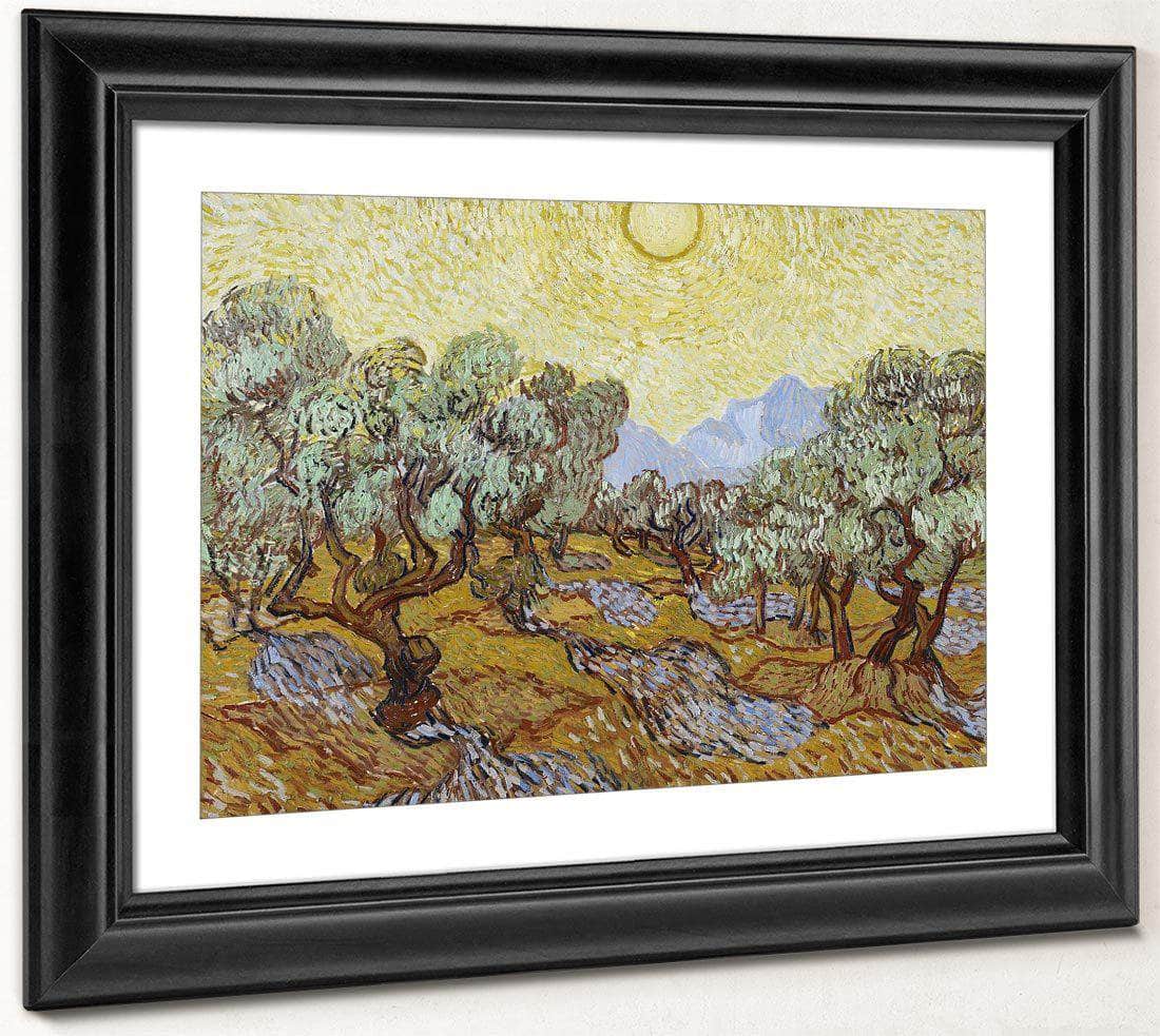 Olive Trees By Vincent Van Gogh Fine Art Print