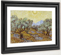 Olive Trees By Vincent Van Gogh Fine Art Print