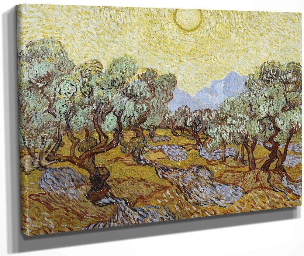 Olive Trees By Vincent Van Gogh Fine Art Print