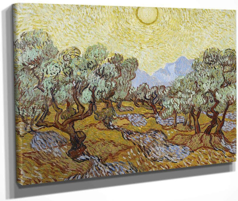Olive Trees By Vincent Van Gogh Fine Art Print