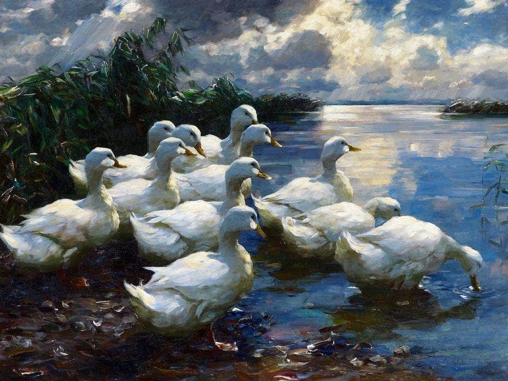 On The Shores Of Lake Constance By Alexander Koester Fine Art Print