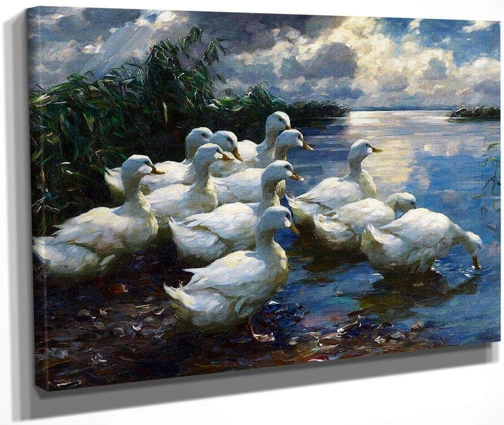 On The Shores Of Lake Constance By Alexander Koester Fine Art Print