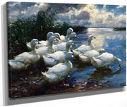 On The Shores Of Lake Constance By Alexander Koester Fine Art Print