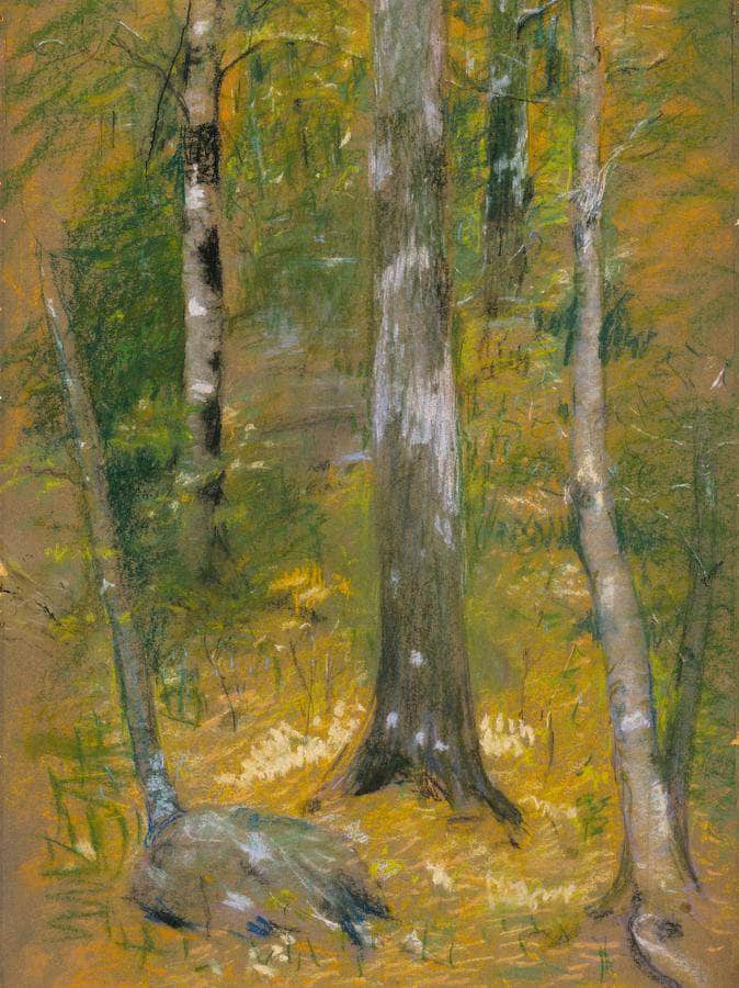 Onteora By Alice Pike Barney Fine Art Print