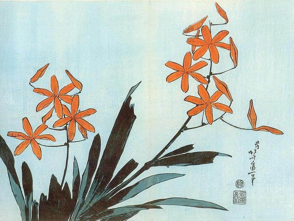 Orange Orchids By Hokusai Fine Art Print