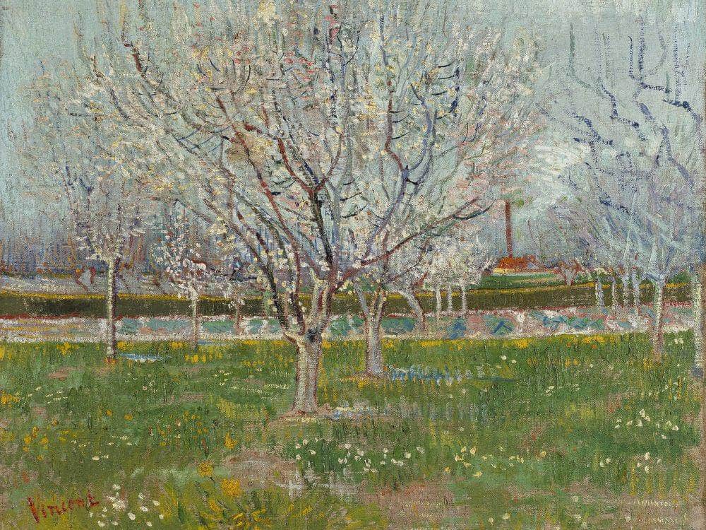 Orchard In Blossom (Plum Trees) By Vincent Van Gogh Fine Art Print