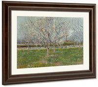 Orchard In Blossom (Plum Trees) By Vincent Van Gogh Fine Art Print