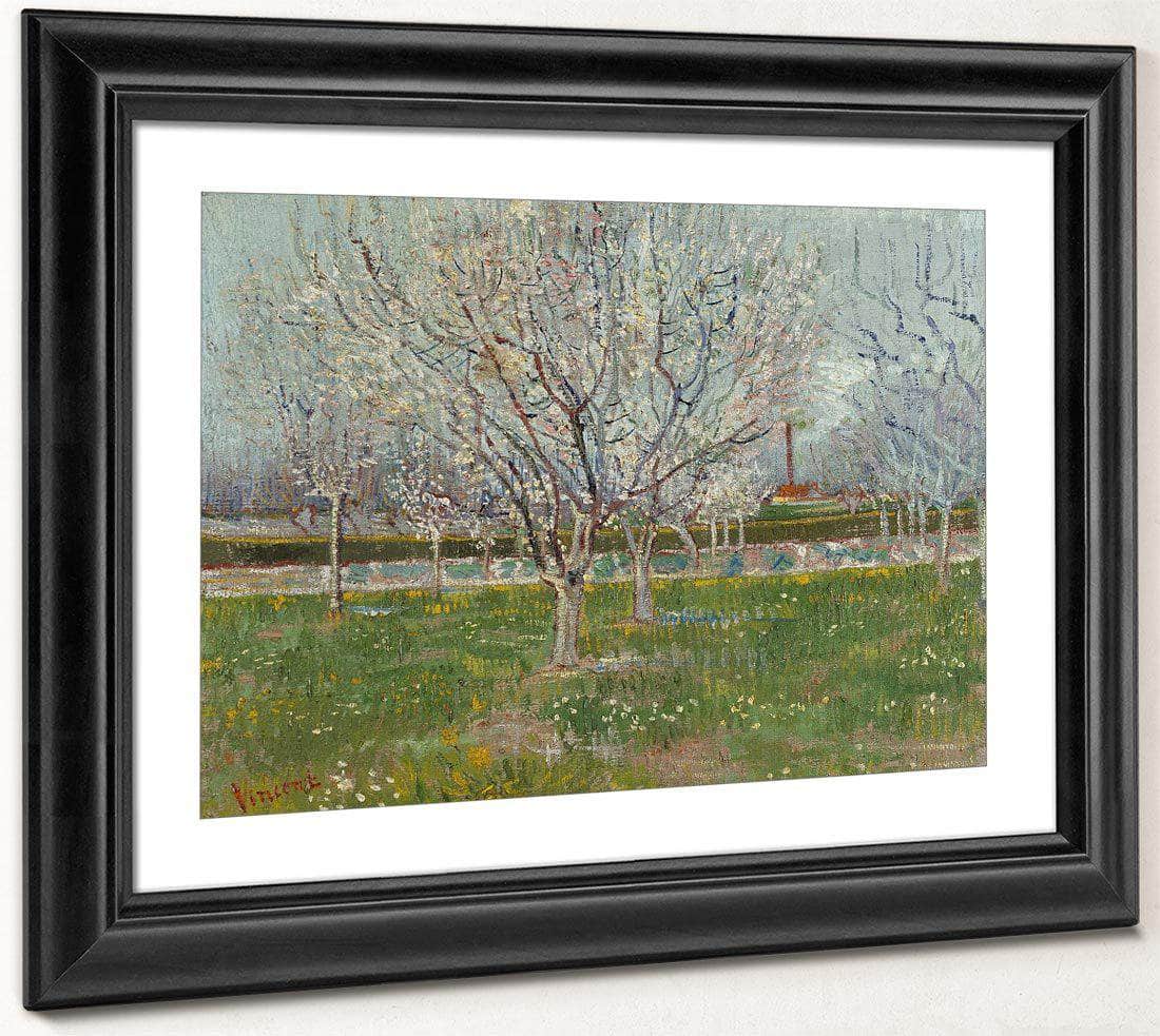 Orchard In Blossom (Plum Trees) By Vincent Van Gogh Fine Art Print