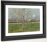 Orchard In Blossom (Plum Trees) By Vincent Van Gogh Fine Art Print