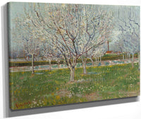 Orchard In Blossom (Plum Trees) By Vincent Van Gogh Fine Art Print
