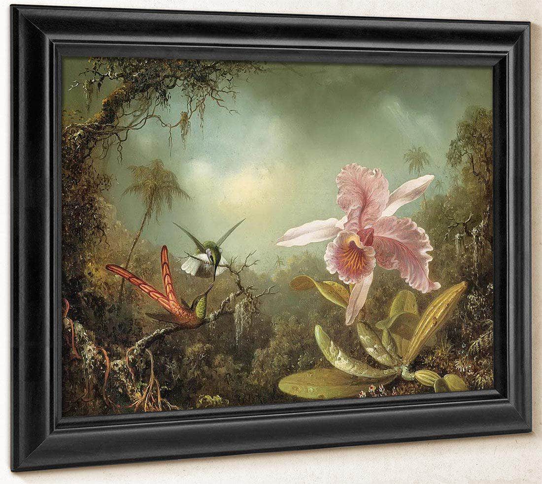 Orchid With Two Hummingbirds By Martin Johnson Heade Fine Art Print