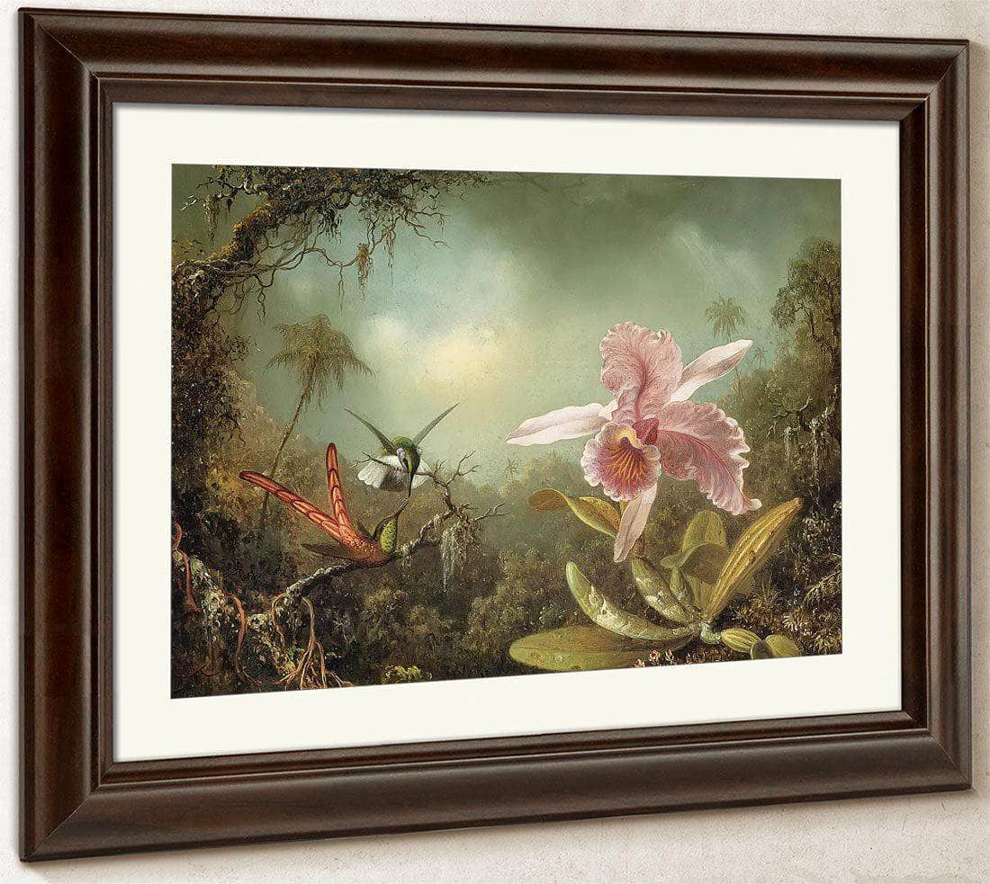 Orchid With Two Hummingbirds By Martin Johnson Heade Fine Art Print