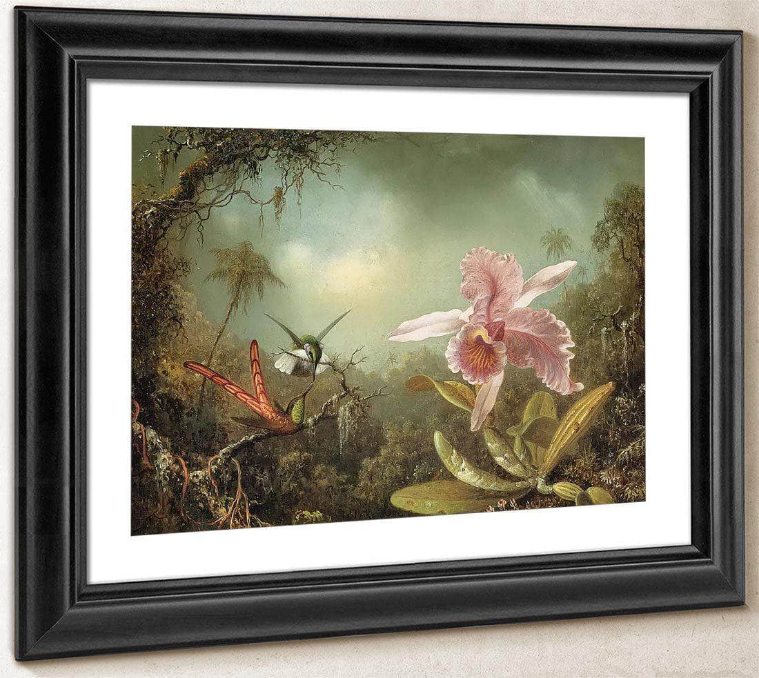Orchid With Two Hummingbirds By Martin Johnson Heade Fine Art Print