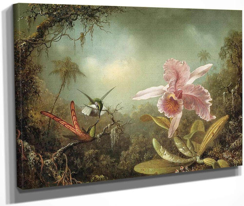 Orchid With Two Hummingbirds By Martin Johnson Heade Fine Art Print