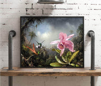 Orchid With Two Hummingbirds Painting Martin Johnson Heade Canvas Art Fine Art Print