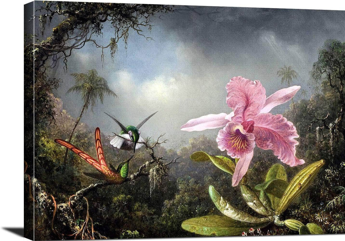 Orchid With Two Hummingbirds Painting Martin Johnson Heade Canvas Art Fine Art Print