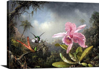 Orchid With Two Hummingbirds Painting Martin Johnson Heade Canvas Art Fine Art Print