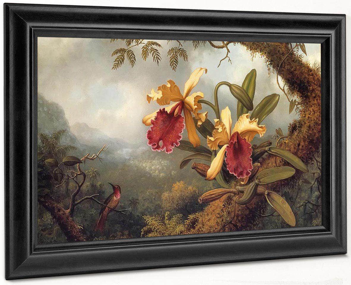 Orchids And Hummingbird By Martin Johnson Heade Fine Art Print