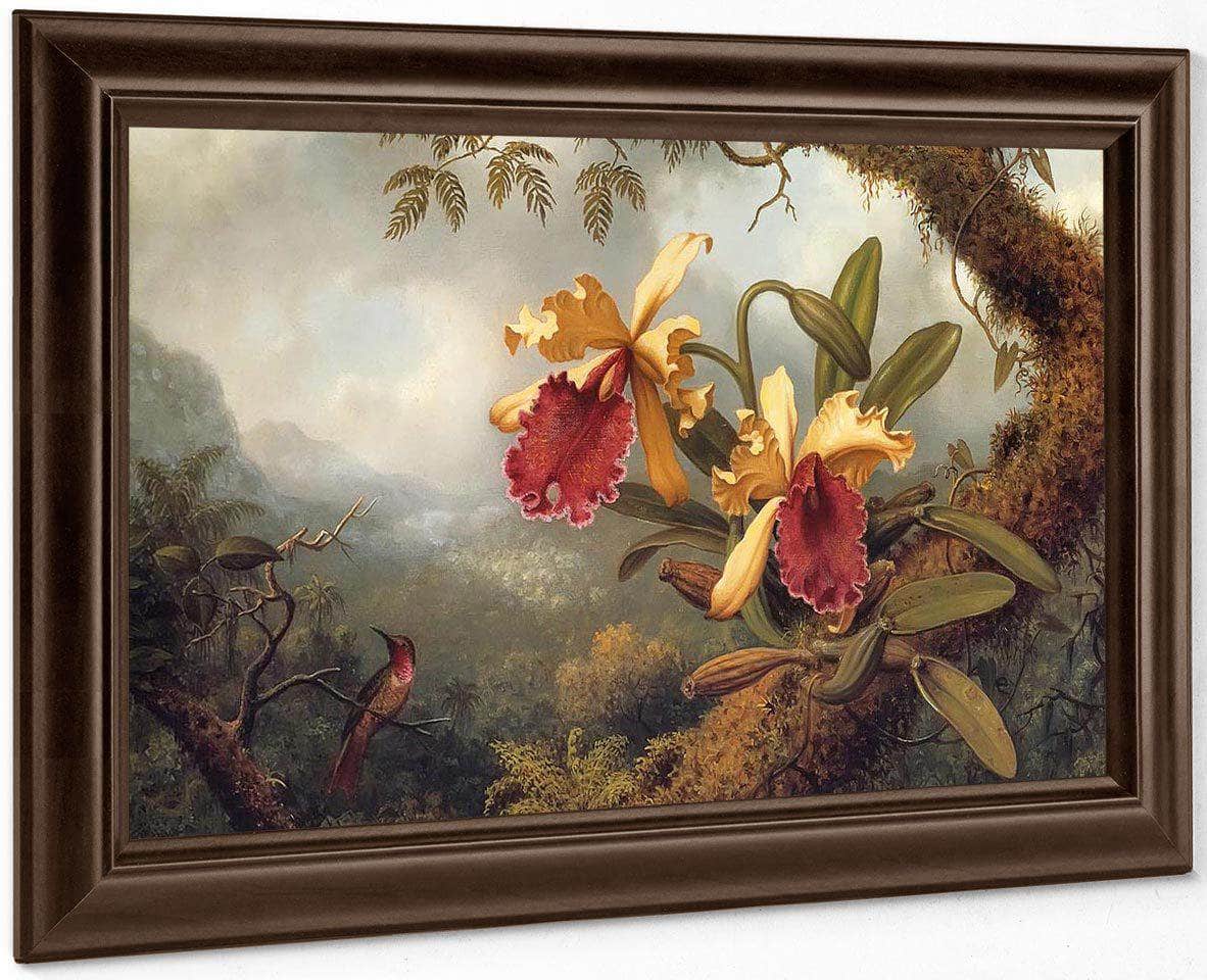 Orchids And Hummingbird By Martin Johnson Heade Fine Art Print