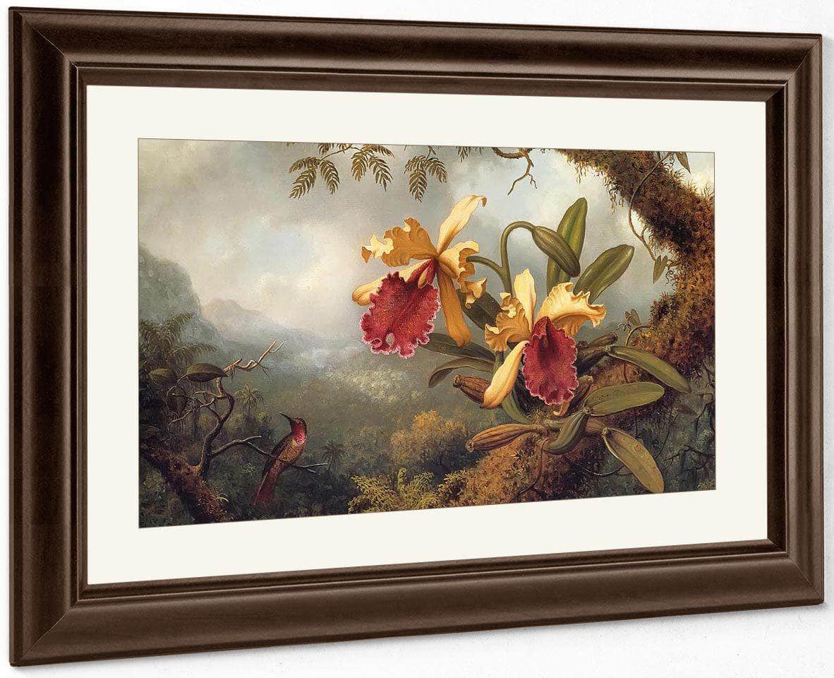 Orchids And Hummingbird By Martin Johnson Heade Fine Art Print