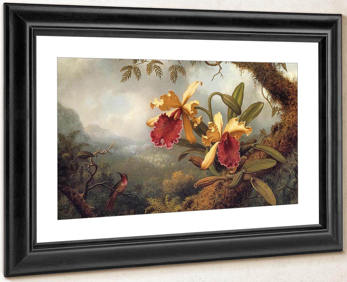 Orchids And Hummingbird By Martin Johnson Heade Fine Art Print